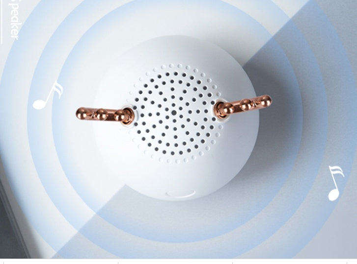 Small Audio Portable